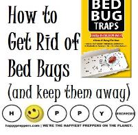 How to get rid of bed bugs (and keep them away)