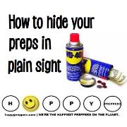 Hide Stuff in plain sight