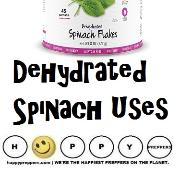 Dehydrated spinach uses
