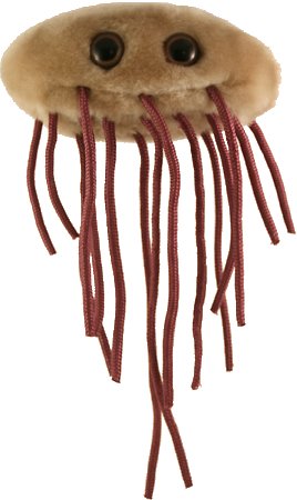 E. coli toy