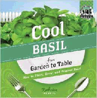 Basil repells mosquitoes