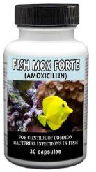 Fishmox Forte - Amoxicilliln