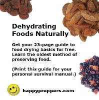 free guide to drying foods naturally