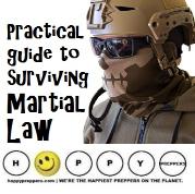 Practical Guide to Surviving Martial Law