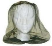 Mosquito net head covering