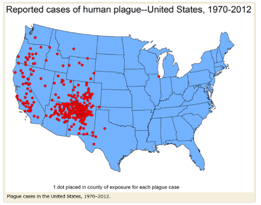 Plague Map from CDC