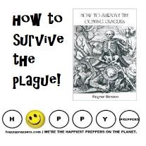 How to Survive the Plague