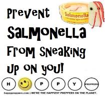 How to prevent salmonella from sneaking up on you