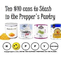 Ten #10 cans to stash in the prepper's pantry
