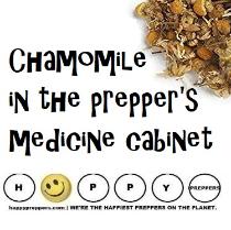 Chamomile in the prepper's medicine cabinet