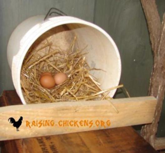 chicken nesting box