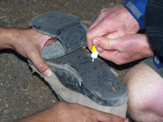 Crazy Glue to repair shoes isn't instant! You'll need duct tape to get to your destination.