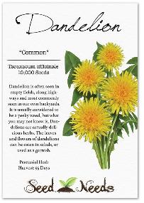 Dandelion bulk seeds