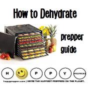 Prepper's guide on how to dehydrate foods