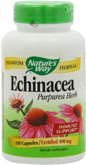 Echinacea  is an immunity booster