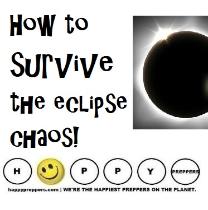 how to survive the Solar Eclipse Chaos