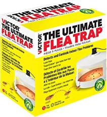 The Ultimate Flea Trap