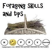 Foraging skills and tips