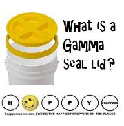 What is a gamma seal lid?