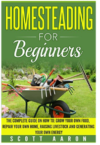 Homesteading for beginners