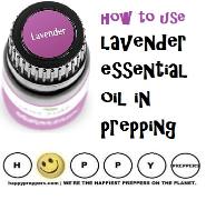 How to use lavender essential oil in prepping