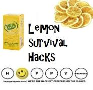 Lemon Survival Hacks