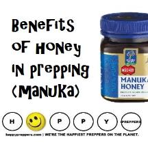 Benefits of honey in prepping