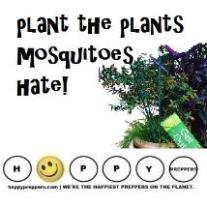 How do you keep mosquitoes away? In part you can do it by planting the plants mosquitoes hate!