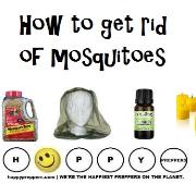How to get rid of mosquitoes