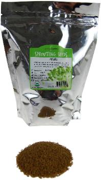 Organic alfalfa sprouting seeds