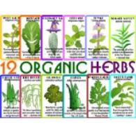 12 organic herbs
