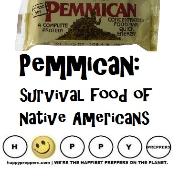 Pemmican survival food of Native Americans