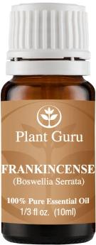 Plant guru frankincense (Boswellia Serrata)