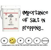 importance of salt in prepping