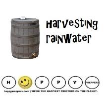 Harvesting rainwater