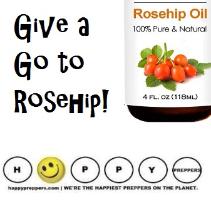 Foraging rosehips and making rosehip syrup