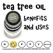 Tea tree oil Benefits and uses