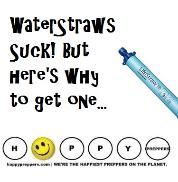 Water straws suck, but here's why you'll want to buy one...