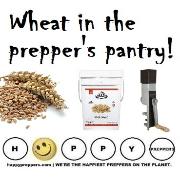 Wheat in the Prepper's Pantry